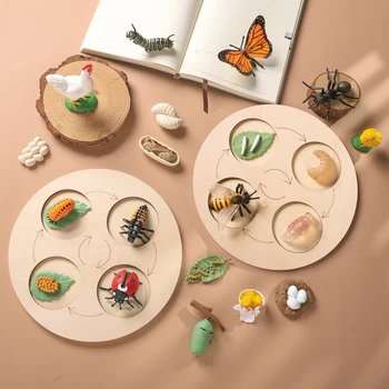 1Set Deti Montessori Zvieratá životného Cyklu Rady Hmyzu Figúrky, Motýľ, Včela životného Cyklu Plastové Safariology Chybu Údaje Hračka